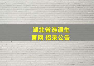 湖北省选调生官网 招录公告